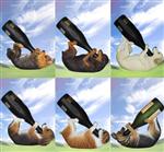 DGD30053 Pedigree Wine Dog Wine Bottle Holder 6 asst